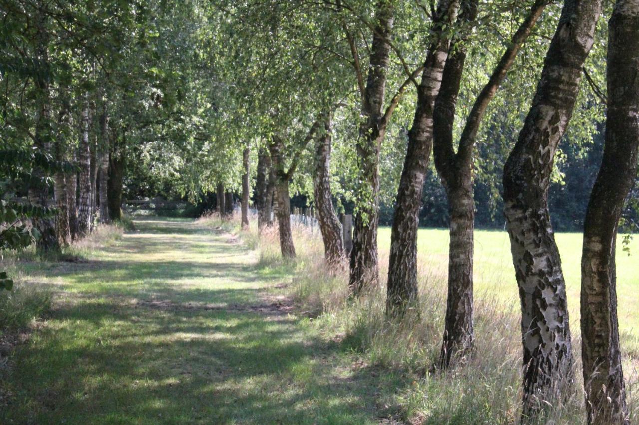 Inn The Woods - Private Stay Overberg Εξωτερικό φωτογραφία